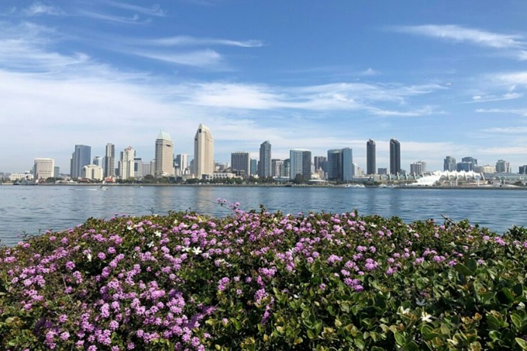 Sunny San Diego Braces as King Tides Swamp Coast, Halloween Weekend Rain Looms