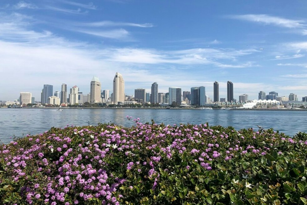 Sunny San Diego Braces as King Tides Swamp Coast, Halloween Weekend Rain Looms
