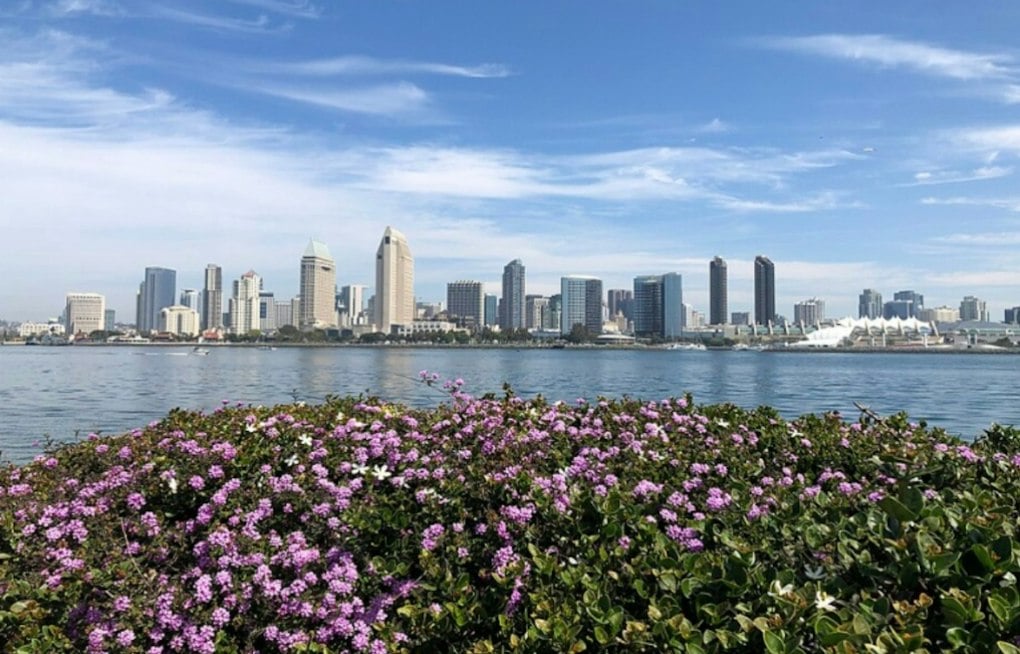 Sunny San Diego Braces as King Tides Swamp Coast, Halloween Weekend Rain Looms