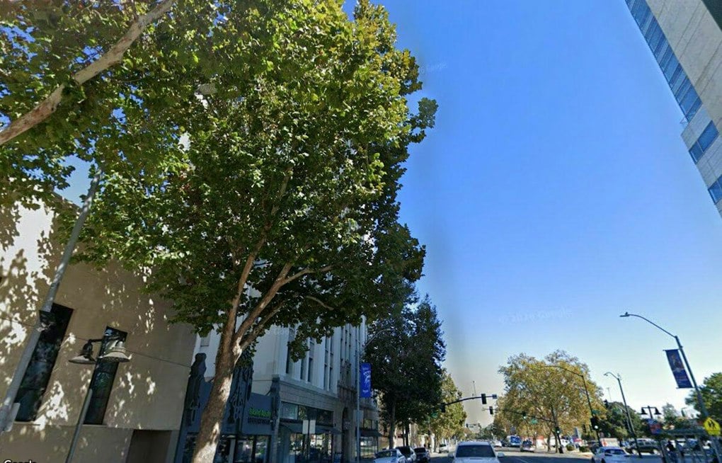 Sunny San Jose Near 80 Today Before Fog, Midweek Showers Roll In