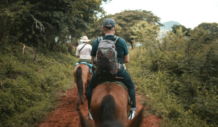 Sunshine Bridge Crash Kills Three Trail-Riding Horses, Driver Flees on Foot