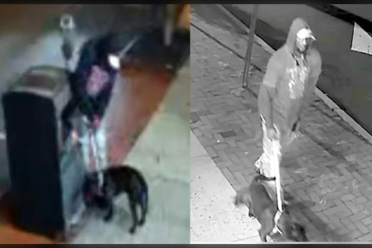 SUV Drives South After Man Gets Out With Dog in Montclair; Dog Tied to Trash Bin