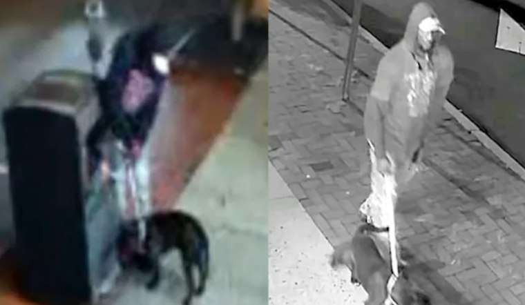 SUV Drives South After Man Gets Out With Dog in Montclair; Dog Tied to Trash Bin