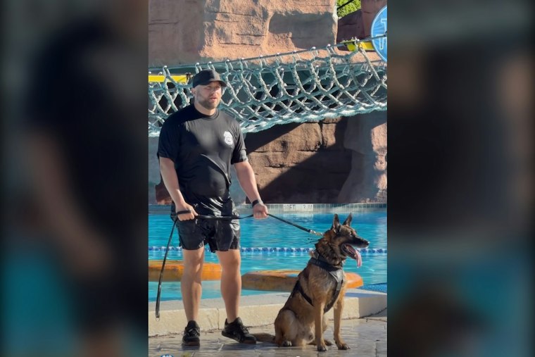 Tampa Police K-9s Train at Adventure Island's Wave Pool