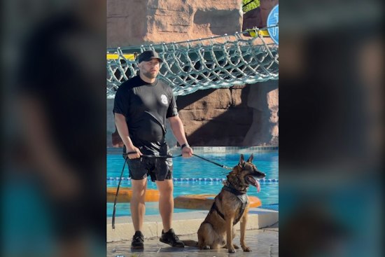 Tampa Police K-9s Train at Adventure Island's Wave Pool