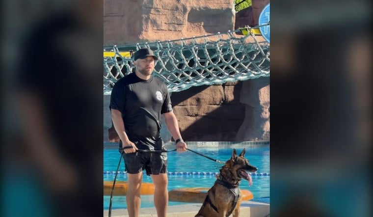 Tampa Police K-9s Train at Adventure Island's Wave Pool