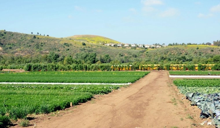 Tanaka Farms Lights Up Irvine for a Month With New Santa Village, Corn Maze