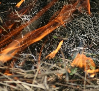 Taylor Bill Would Double Ohio's Cut of Wayne Forest Energy Revenue