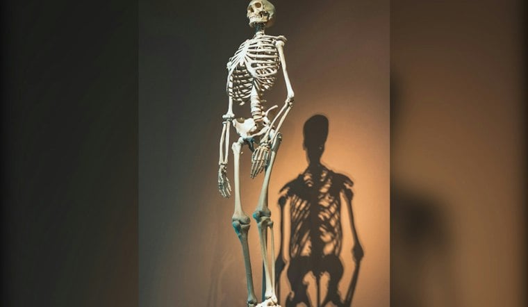 Tenafly Man's Skeleton Tribute to Knicks' Title Shot Turns Lawn Into Tourist Stop