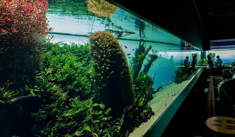 Tennessee Aquarium Building $5M Animal Hospital to Fight Vet Shortage
