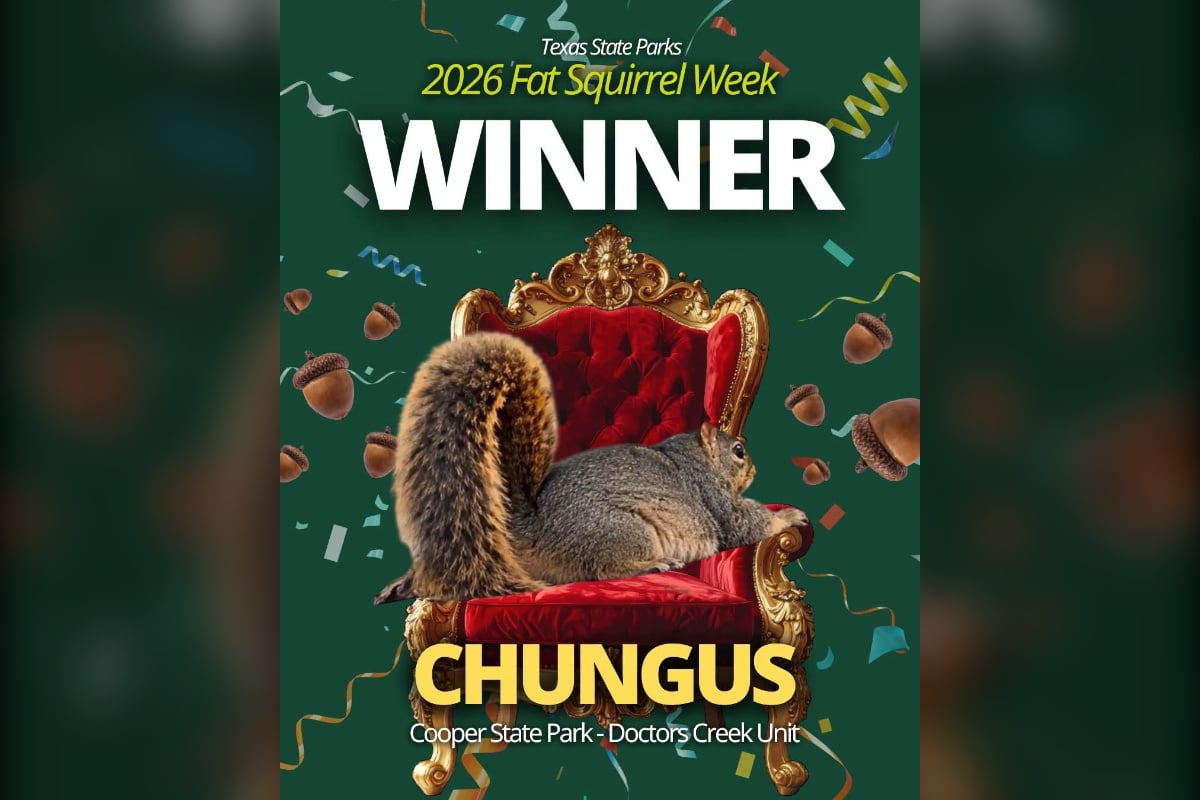 Texas Crowns Chungus the Chunkiest Squirrel of 2026 After Dumpster-to-Glory Run