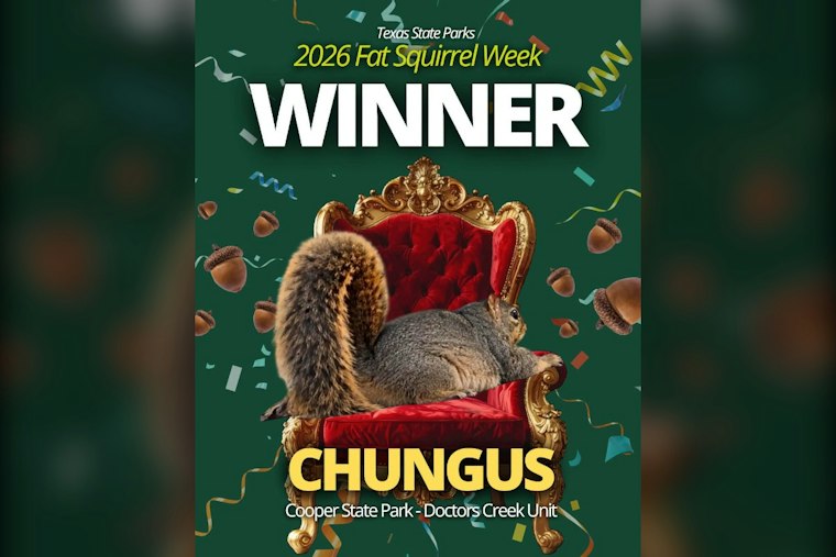Texas Crowns Chungus the Chunkiest Squirrel of 2026 After Dumpster-to-Glory Run