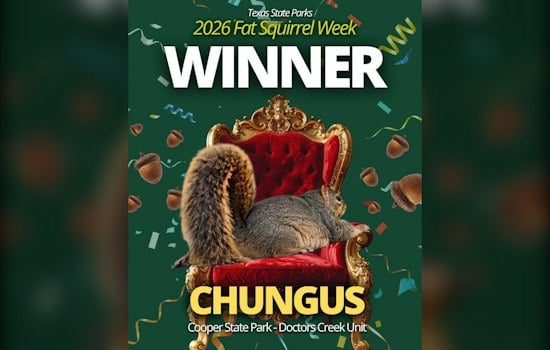 Texas Crowns Chungus the Chunkiest Squirrel of 2026 After Dumpster-to-Glory Run