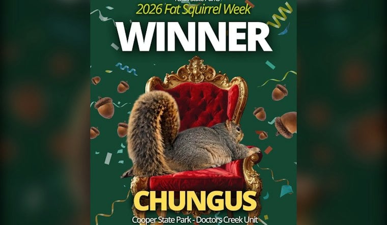 Texas Crowns Chungus the Chunkiest Squirrel of 2026 After Dumpster-to-Glory Run