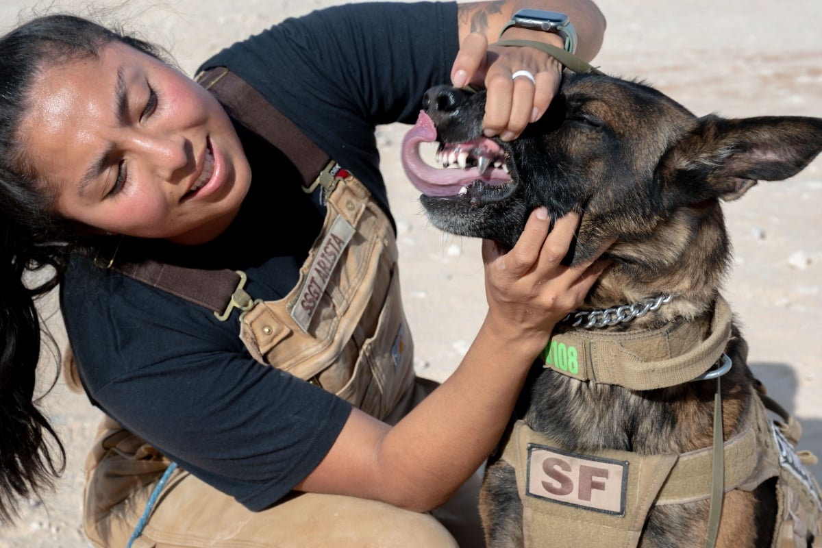 Texas Startup Warhound Raises $200M to Clone and Engineer Military Dogs