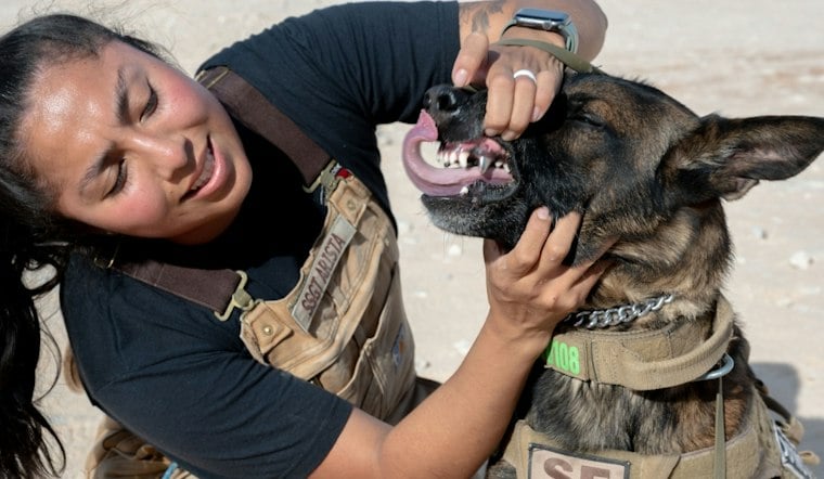 Texas Startup Warhound Raises $200M to Clone and Engineer Military Dogs