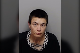 Three Dogs Die in Parked Van as North Side San Antonio Women Face Cruelty Charges