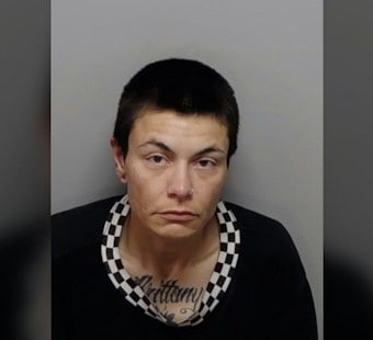 Three Dogs Die in Parked Van as North Side San Antonio Women Face Cruelty Charges