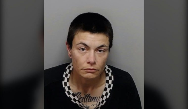 Three Dogs Die in Parked Van as North Side San Antonio Women Face Cruelty Charges