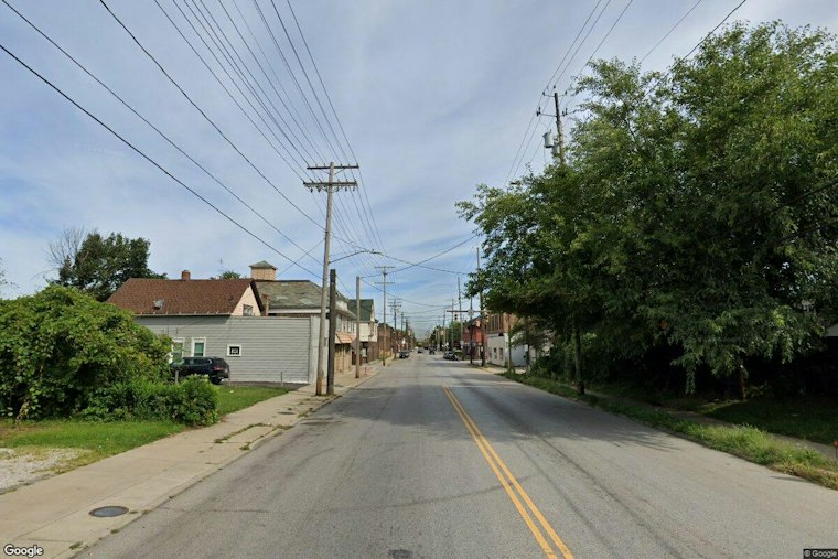 Three Starving Puppies Pulled From Vacant Cleveland Home, Investigation Underway