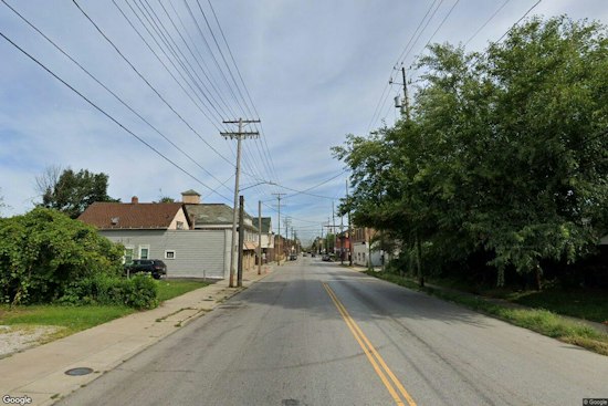 Three Starving Puppies Pulled From Vacant Cleveland Home, Investigation Underway
