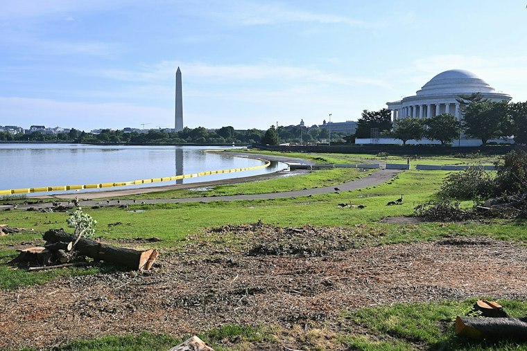 Tidal Basin Walk Confronts DC's Worst-in-Nation Breast Cancer Death Rate