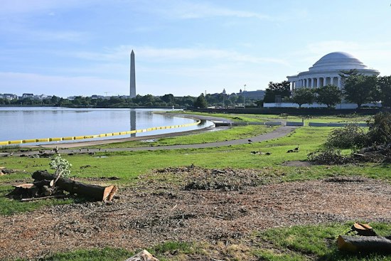 Tidal Basin Walk Confronts DC's Worst-in-Nation Breast Cancer Death Rate