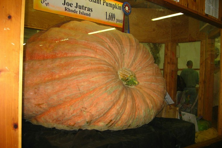 Topsfield Fair Opens With Record Chase for 2,600-Pound Pumpkins