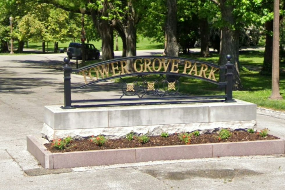 Tower Grove Park Hosts 91 Climbers as Tree Championship Marks 50 Years in St. Louis