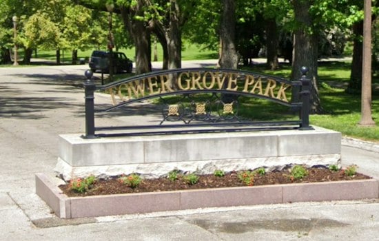 Tower Grove Park Hosts 91 Climbers as Tree Championship Marks 50 Years in St. Louis