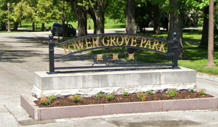 Tower Grove Park Hosts 91 Climbers as Tree Championship Marks 50 Years in St. Louis