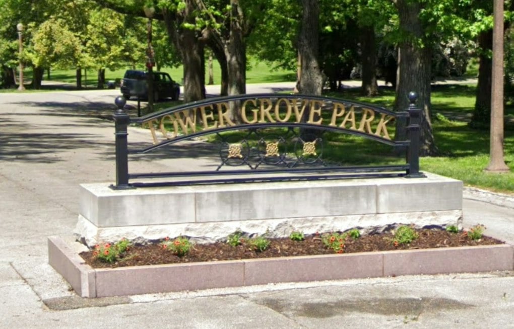 Tower Grove Park Hosts 91 Climbers as Tree Championship Marks 50 Years in St. Louis