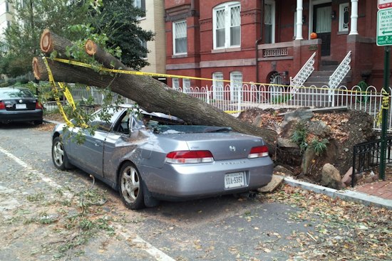Tree Snaps, Pins Germantown Woman Inside Car After Route 9G Medical Emergency