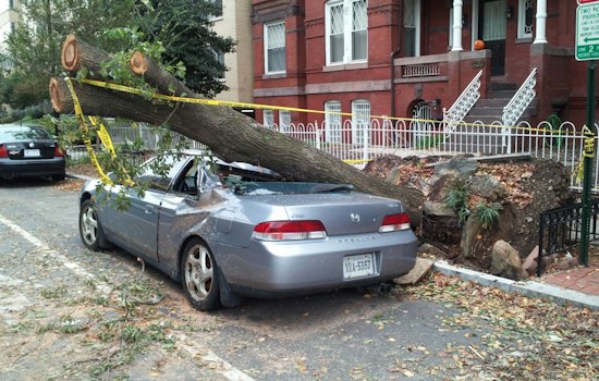 Tree Snaps, Pins Germantown Woman Inside Car After Route 9G Medical Emergency