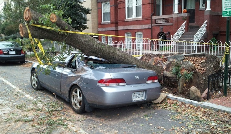 Tree Snaps, Pins Germantown Woman Inside Car After Route 9G Medical Emergency