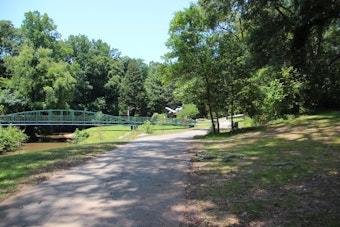 Tree Splits Open Greenville County Trailer Near Swamp Rabbit Trail