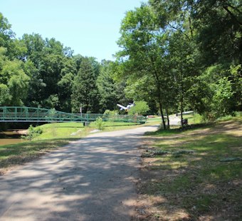 Tree Splits Open Greenville County Trailer Near Swamp Rabbit Trail