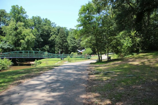 Tree Splits Open Greenville County Trailer Near Swamp Rabbit Trail