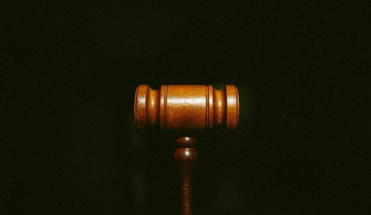 Trinity Woman, 21, Charged After Admitting to Torturing Neighborhood Cat for Days
