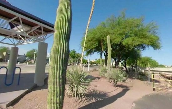 Tucson Man Pleads Guilty in Fatal Stabbing of Cyclist Enrique Mercado on The Loop