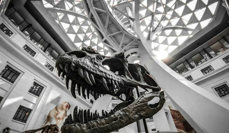 Turkey-Sized Hell Chicken Fossil Reveals First Known Fruit-Eating Dinosaur