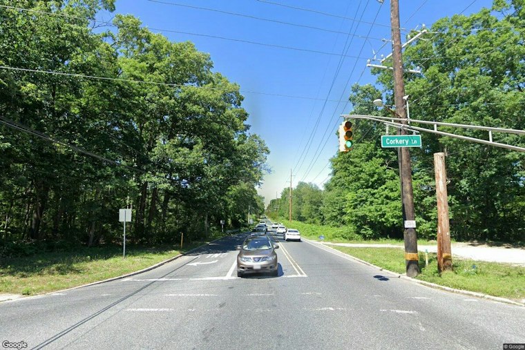 Two Small Dogs Dumped in Gloucester County Woods, Police Hunt for Owners