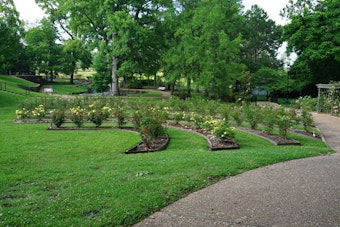 Tyler's 93rd Texas Rose Festival Blooms Next Week With Free Parade, 120 Floats