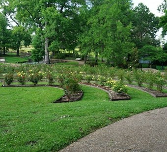 Tyler's 93rd Texas Rose Festival Blooms Next Week With Free Parade, 120 Floats