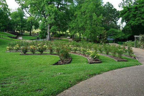 Tyler's 93rd Texas Rose Festival Blooms Next Week With Free Parade, 120 Floats