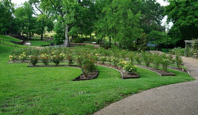 Tyler's 93rd Texas Rose Festival Blooms Next Week With Free Parade, 120 Floats