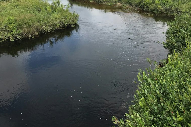 UC Student, 21, Swept Away Crossing Swollen West Virginia Creek, Found Dead