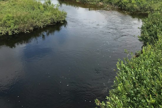 UC Student, 21, Swept Away Crossing Swollen West Virginia Creek, Found Dead