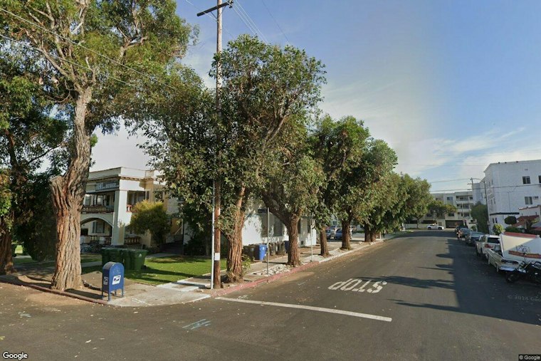 UCLA Law Student Risks Arrest Painting LA Crosswalks City Won't Build