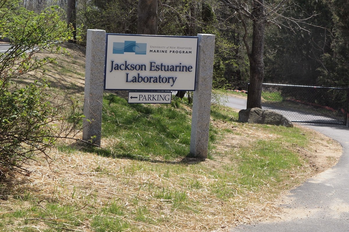 UNH's Durham Lab Unveils $5.2M Expansion to Save Great Bay's Eelgrass